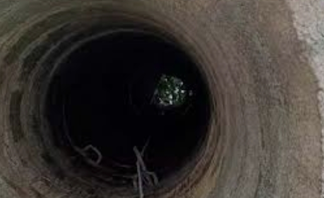 Screenshot_2026-02-18-22-52-05-92_680d03679600f7af0b4c700c6b270fe7