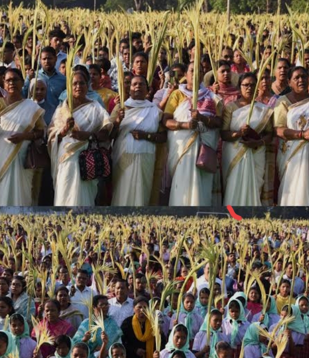 पाम संडे पर मसीही समुदाय में उत्साह, पवित्र सप्ताह की शुरुआत