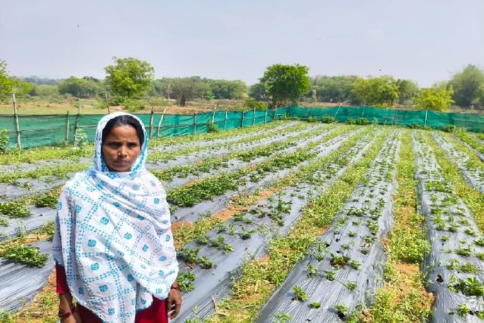 FB_IMG_1775886694583