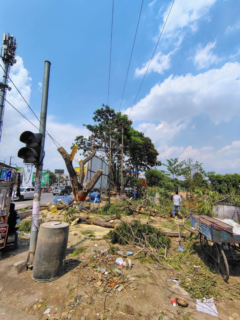 Ranchi News: हरमू चौक पर पेड़ों की कटाई से लोगों में नाराज़गी, बोले हरियाली बचाना हम सबकी जिम्मेदारी